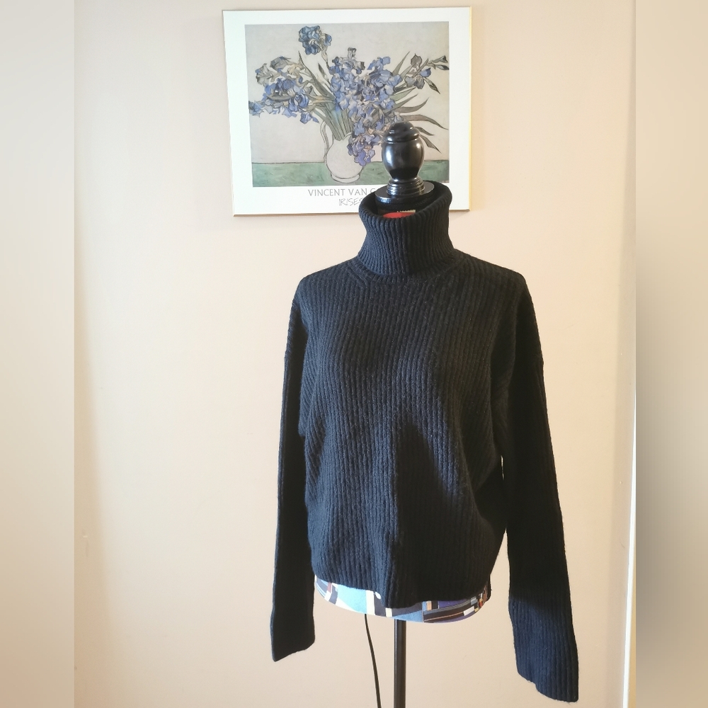 Knit Turtleneck Sweater